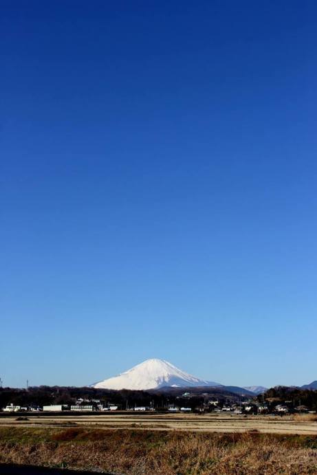 fuji