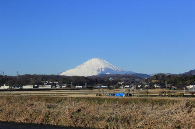fuji