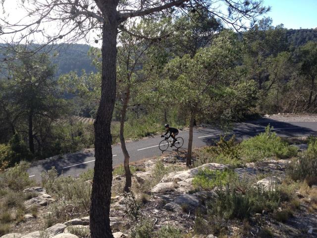 10857085_845319755531909_1827416855840971181_o