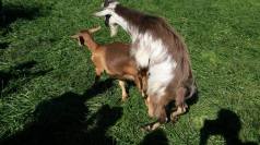 12031395_10153687424451081_3497623868126291391_o