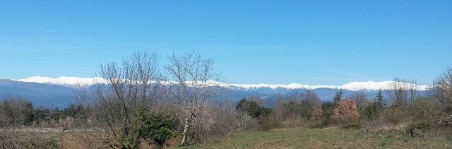 2016-03-24 11.37.37-1