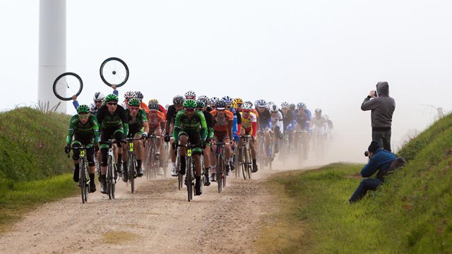 tro-bron-leon-illustration