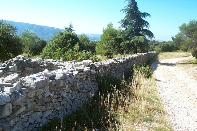 Mur_de_la_peste.jpg
